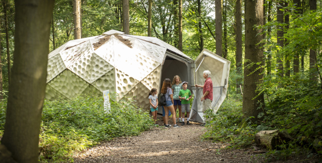 Children entering a geodome in a forest