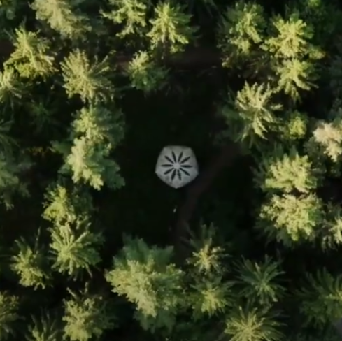 Flug aus dem Urwald vor den Toren der Stadt