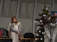 Weihnachtsgarten im Deutsch-Französischen Garten am ersten Adventswochenende 2021 Weihnachtsgarten im Deutsch-Französischen Garten am ersten Adventswochenende 2021