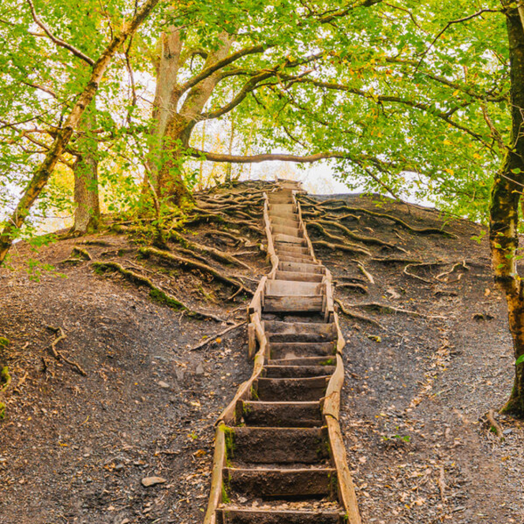 Alte Treppe im Wald