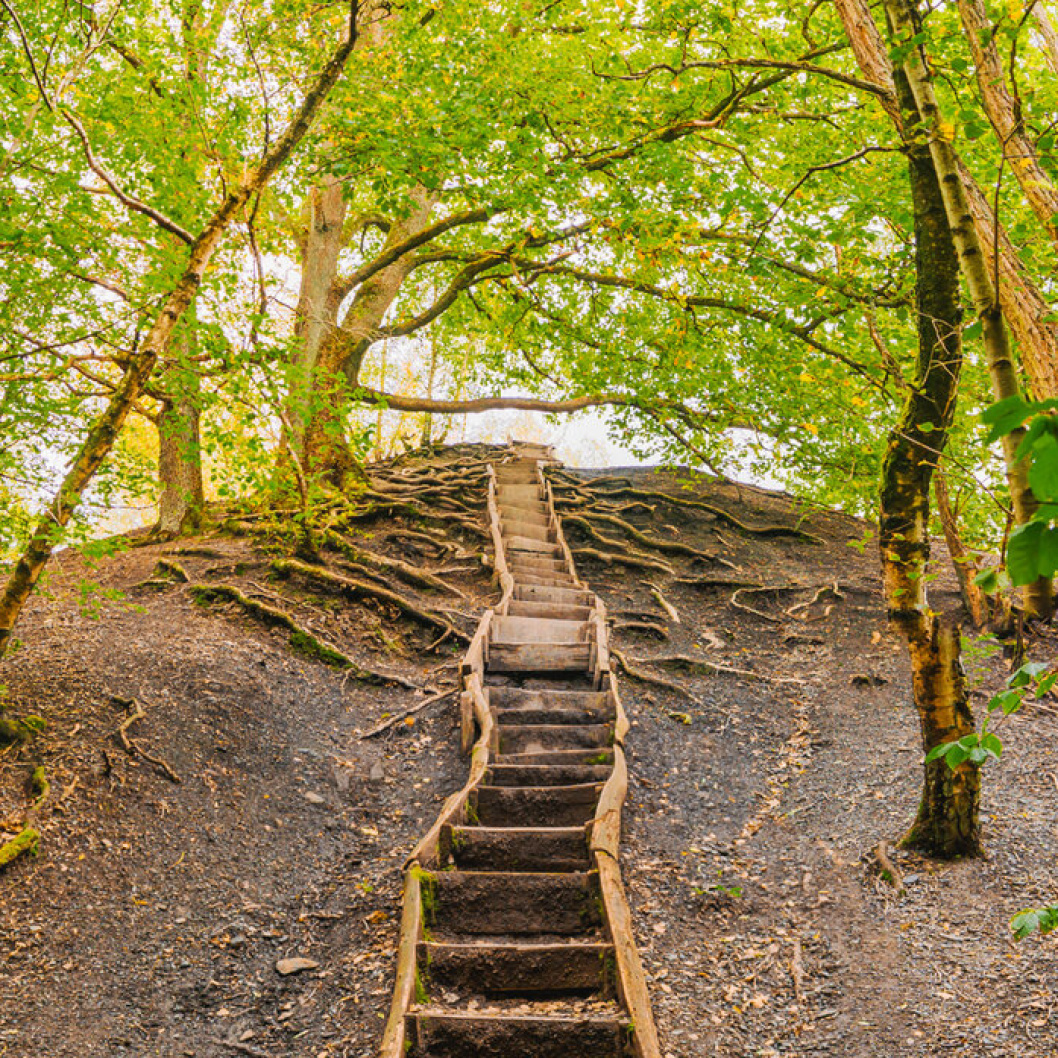 Alte Treppe im Wald