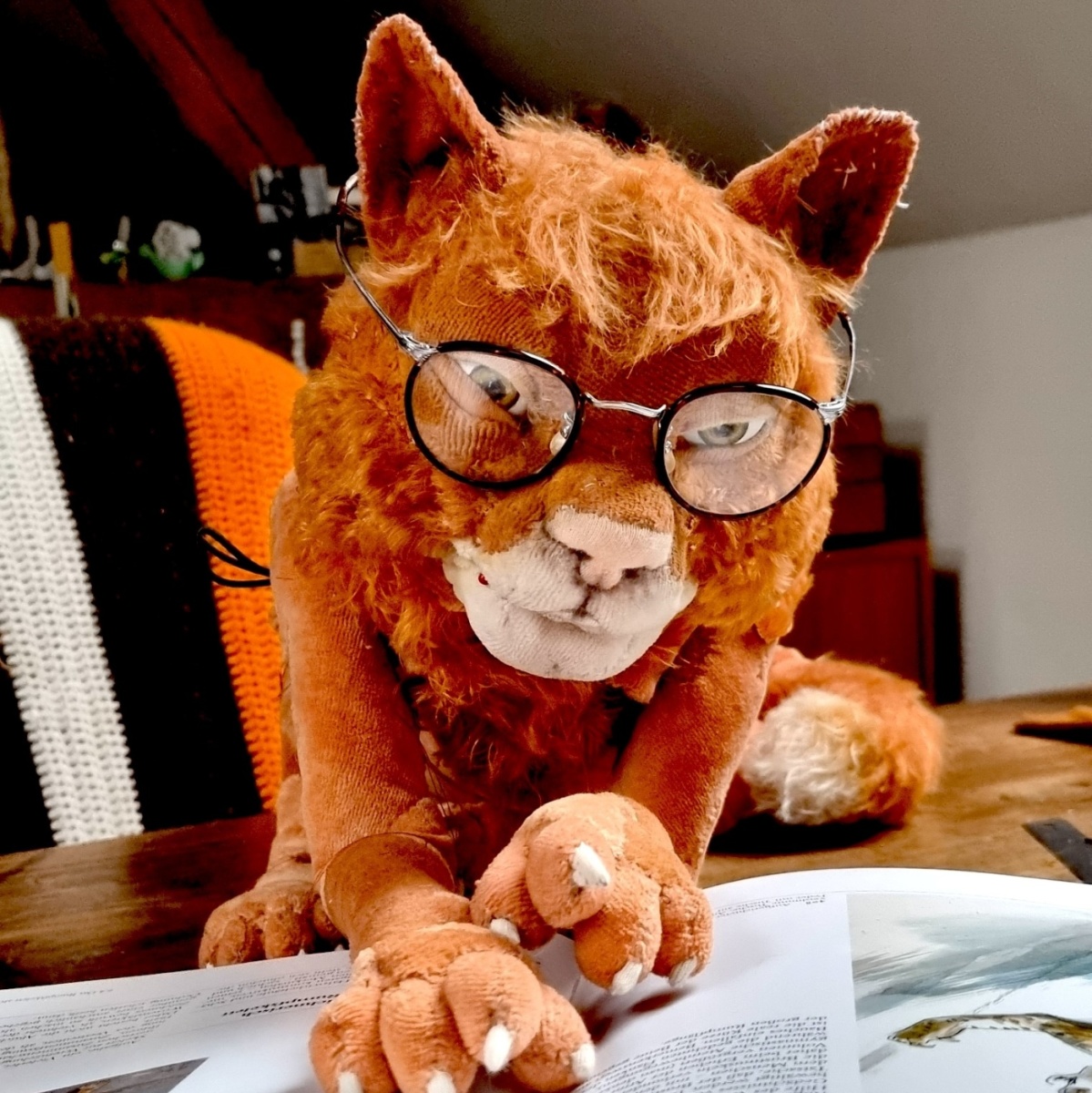 Eine Handpuppe in Form einer Katze